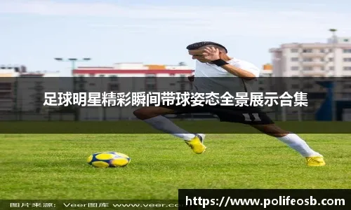 强推!申请以闪亮之名游戏加入养宠人必入清单